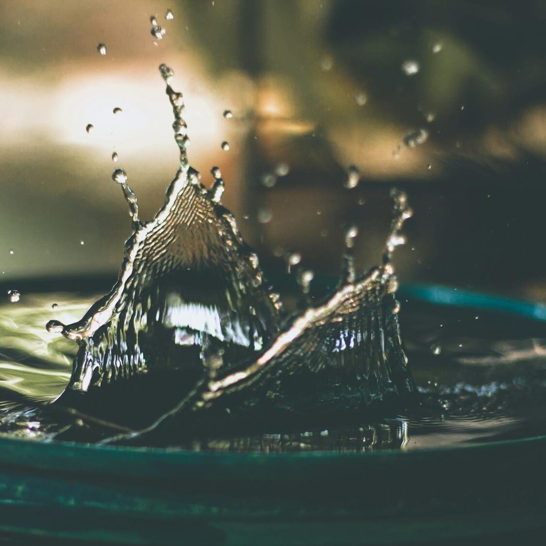 13561_amritanshusikdarlognrw1d8eunsplash1_940139